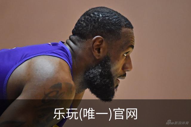 乐玩(唯一)官网